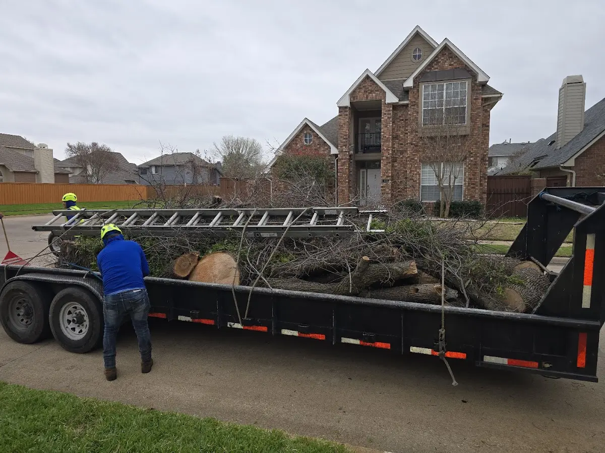 Expert Tree Fertilization with proper safety equipment in Gilbertville